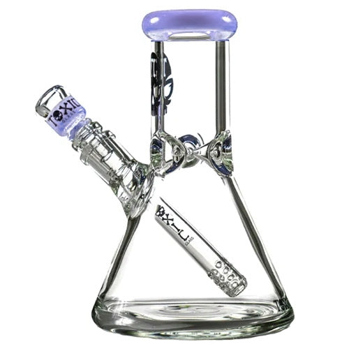 Toxic Glass BK Mini Beaker (8500) 8.0" Slime Purple