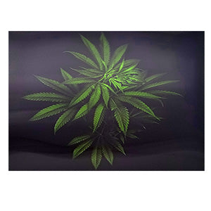 Unbranded Posters & Stickers 3D Image( 5.0" x 7.0") Leaves Green