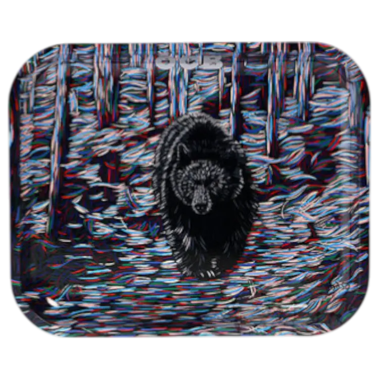 OCB Tray Large Bear 1ct