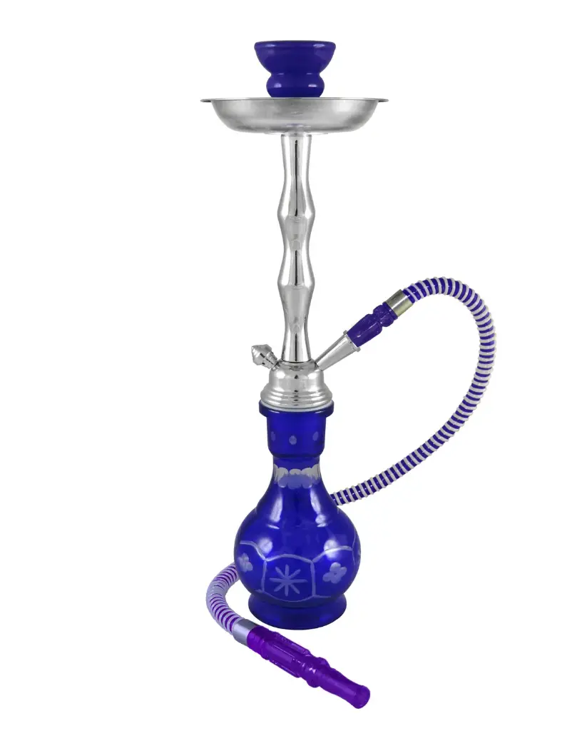 18" Phoenicia, Blue, 1 Hose, Premium Box