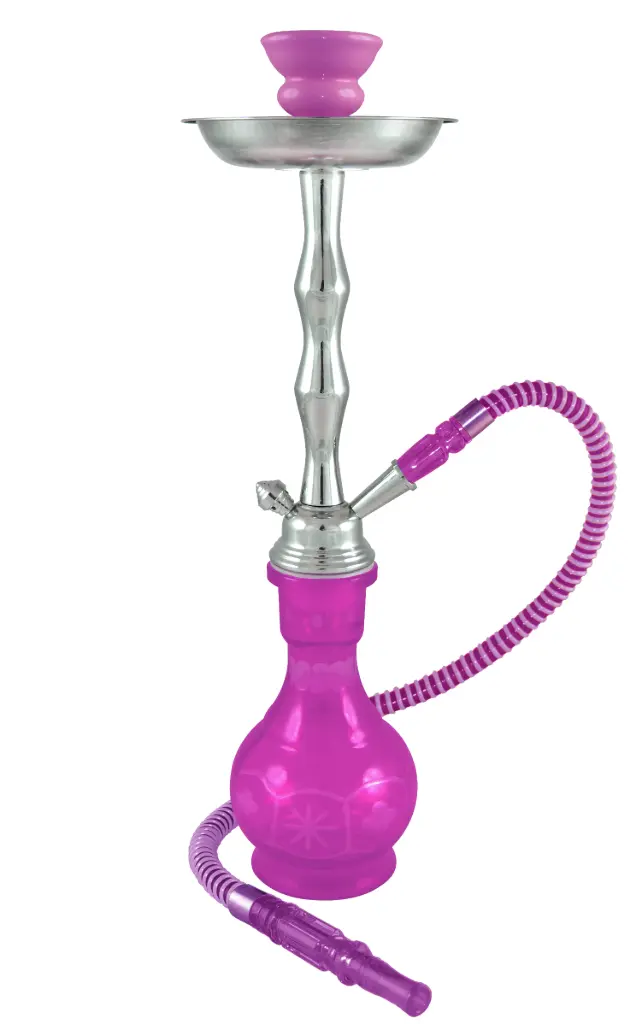 18" Phoenicia, Purple, 1 Hose, Premium Box