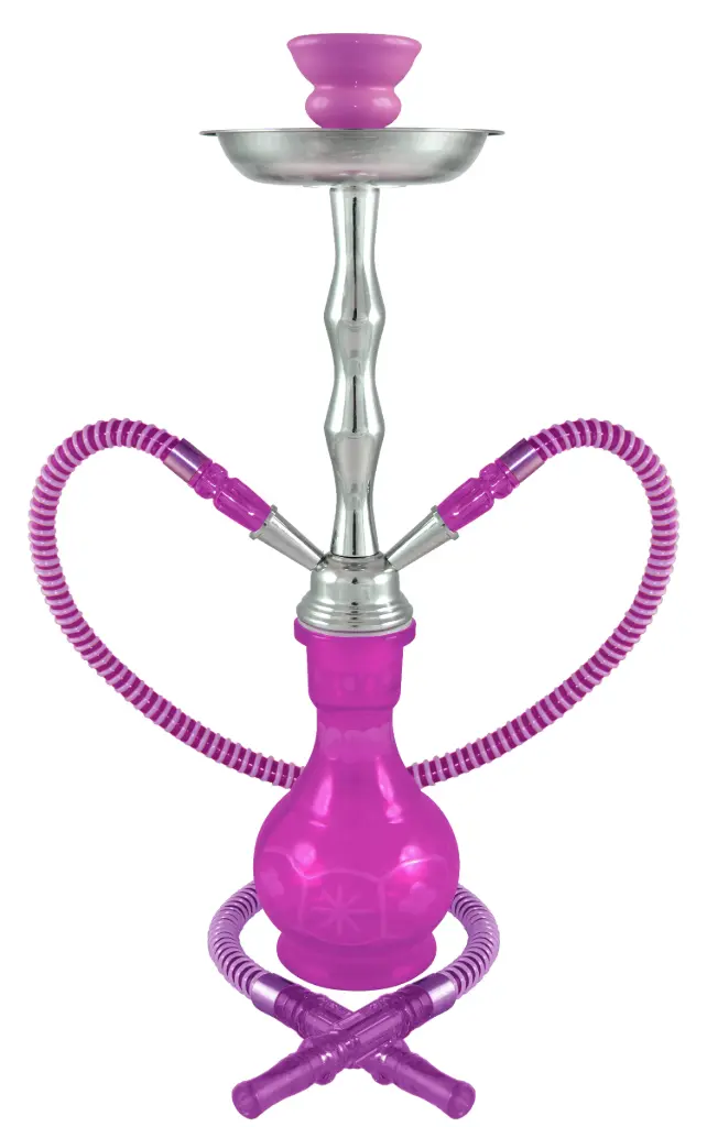 18" Phoenicia, Purple, 2 Hose, Premium Box