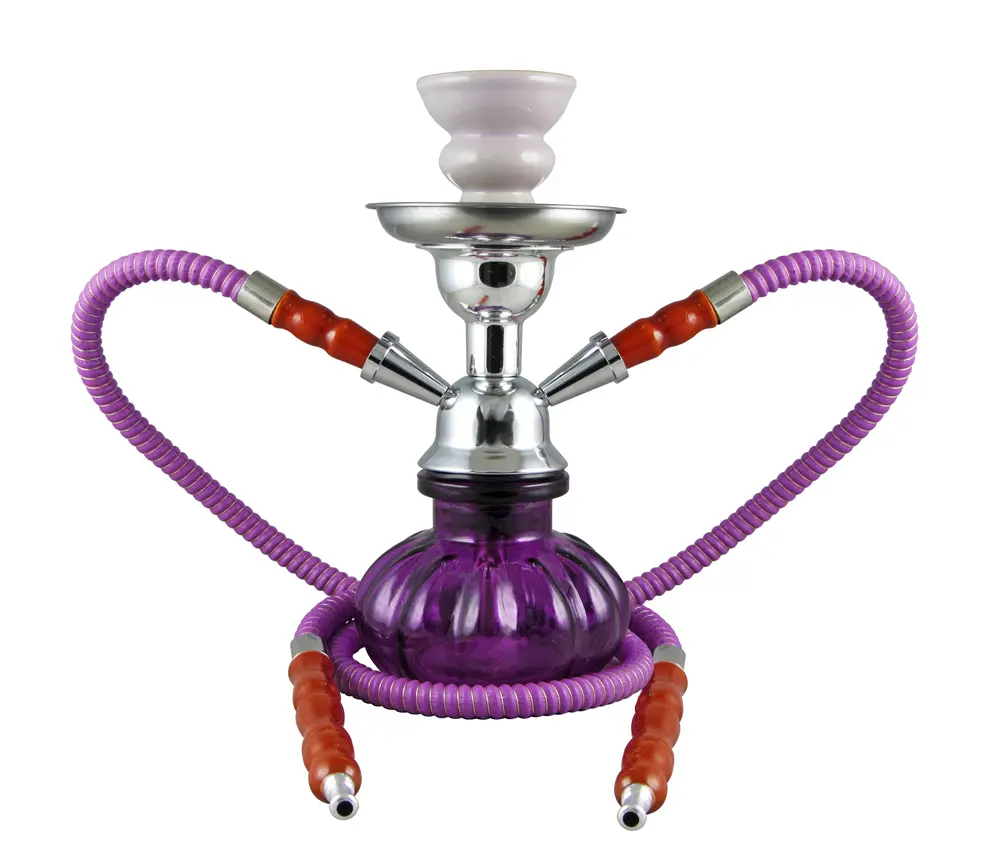 9" Pumpkin, Purple, 2 Hose, Premium Box