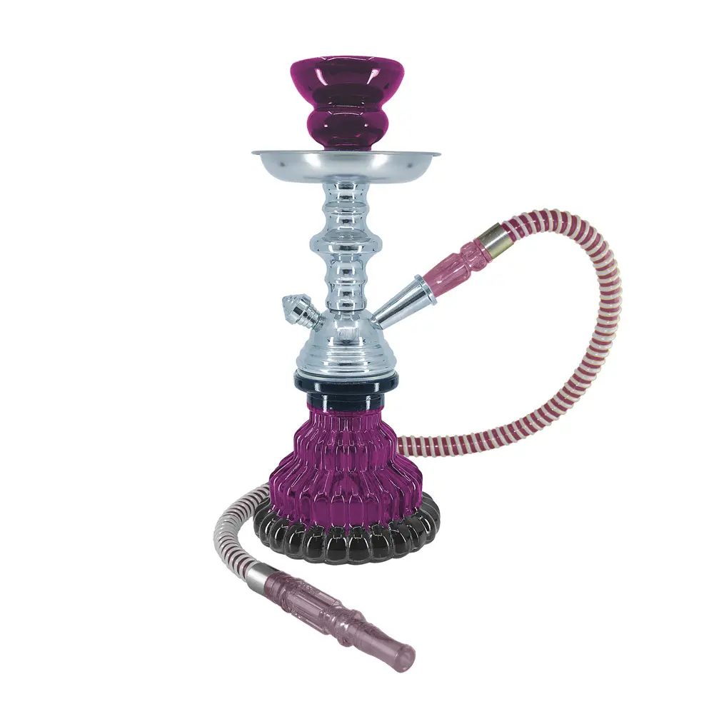 10" Sparta, 1 Hose, Purple, Premium Box