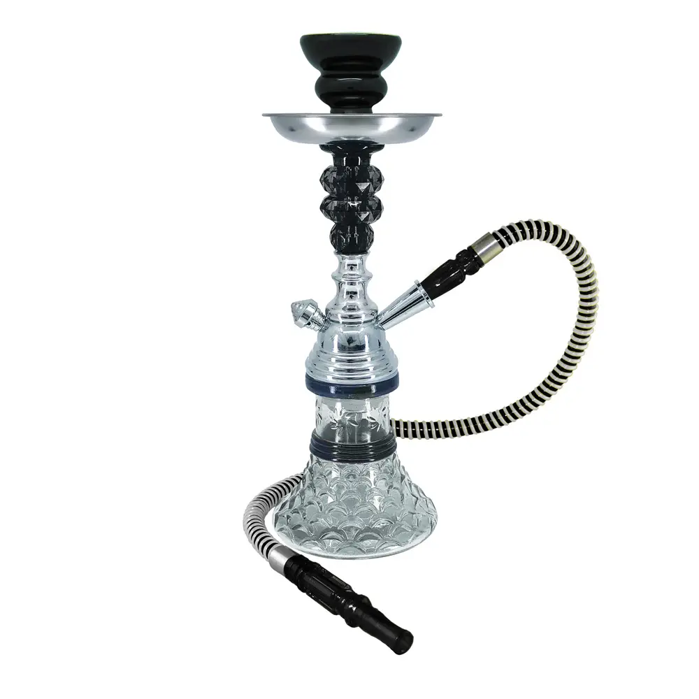 12" Sunflower, 1 Hose, Black, Premium Box