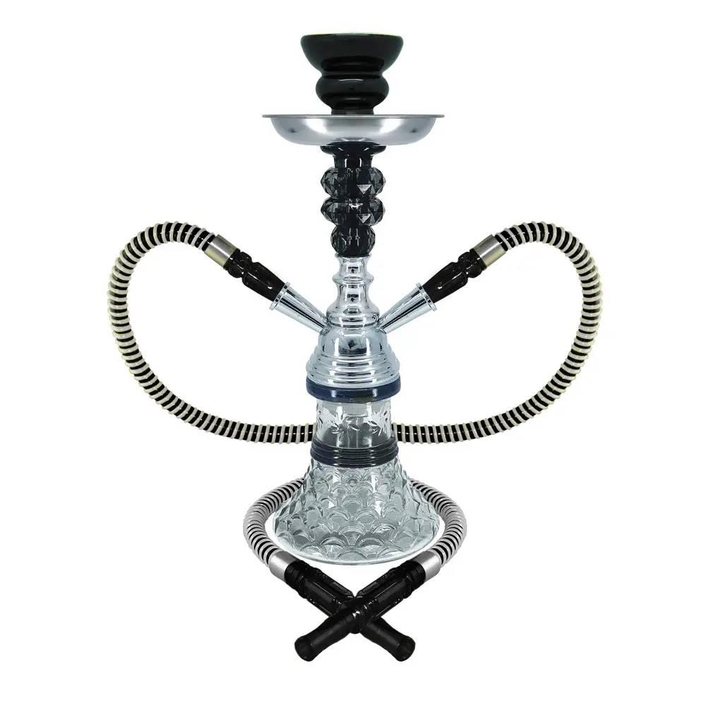 12" Sunflower, 2 Hose, Black, Premium Box