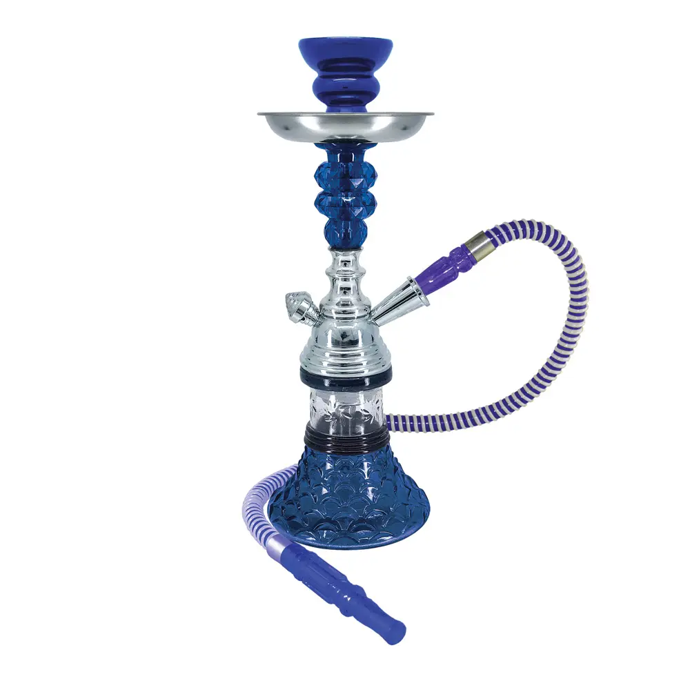 12" Sunflower, 1 Hose, Blue, Premium Box