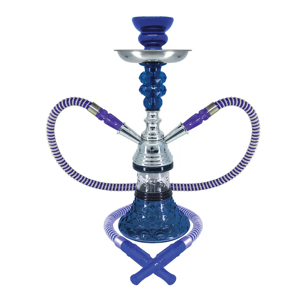 12" Sunflower, 2 Hose, Blue, Premium Box