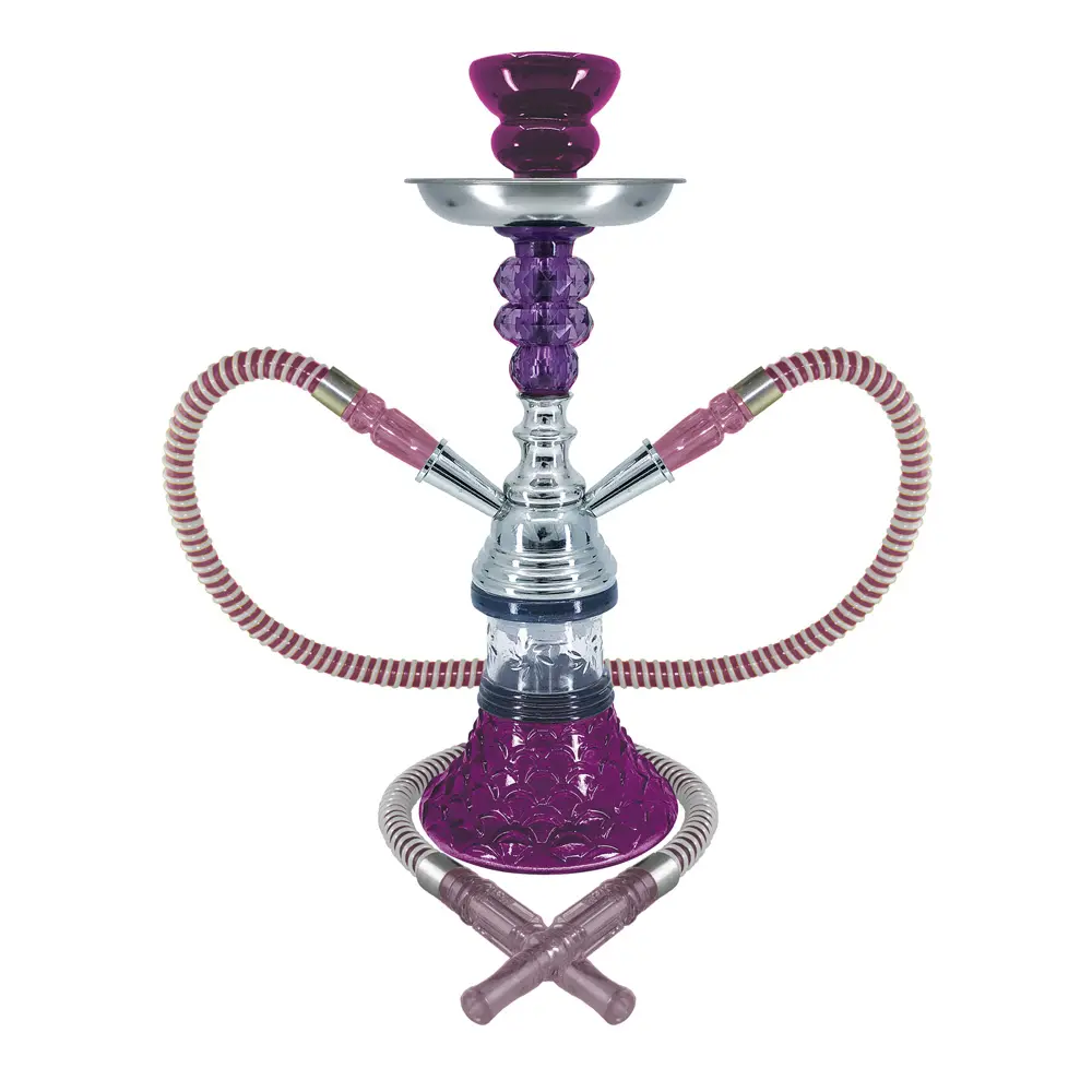 12" Sunflower, 2 Hose, Purple, Premium Box
