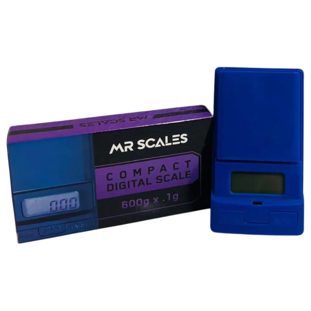 MR SCALE 1004 600GM/0.1 BLUE