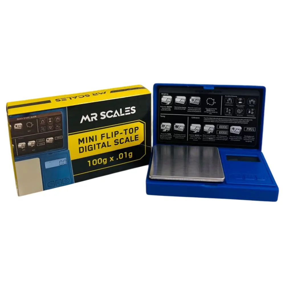 MR SCALES 1003 100GM / 0.01 BLUE