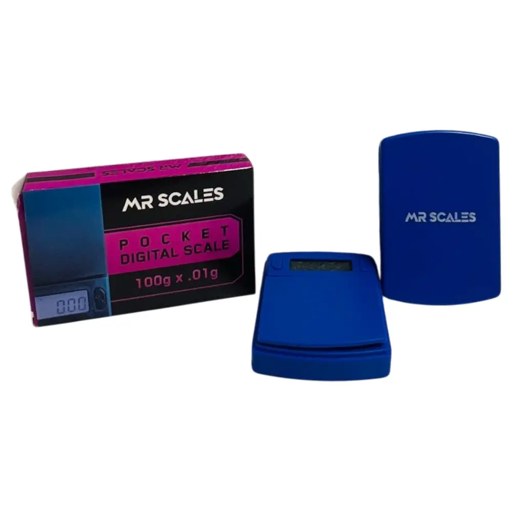 MR SCALE 100G - 0.01 BLUE