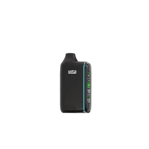 [AM040136] CALG - Luzid (510BATT) Sikret Pulse - Black