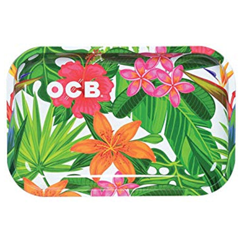 [M0664] OCB Tray Large Tropical 1ct