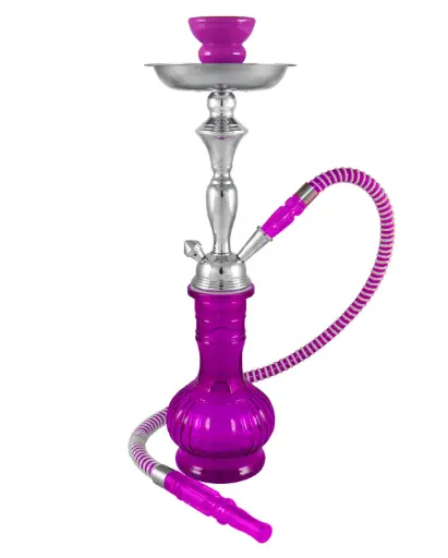 [AM015986] 17" Versailles, Purple, 1 Hose, Premium Box