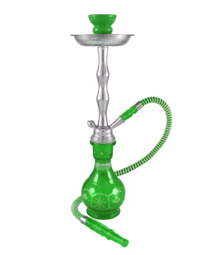 [AM038462] 18" Phoenicia, Green, 1 Hose, Premium Box