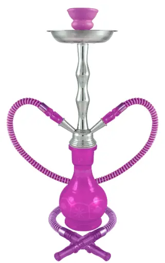 [AM038469] 18" Phoenicia, Purple, 2 Hose, Premium Box