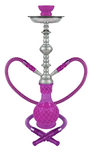 [AM016252] 19" Nicolette, Purple, 2 Hose, Premium Box