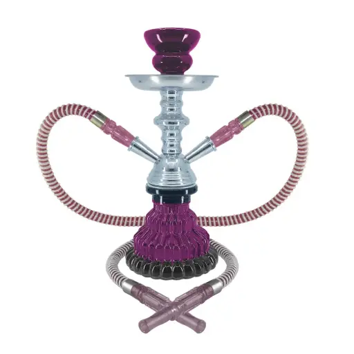 [AM016227] 10" Sparta, 2 Hose, Purple, Premium Box