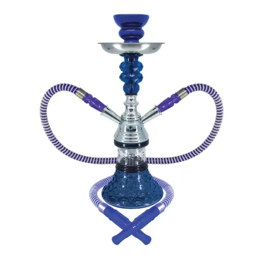 [AM038422] 12" Sunflower, 2 Hose, Blue, Premium Box