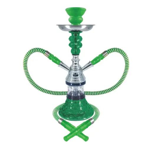[AM038423] 12" Sunflower, 2 Hose, Green, Premium Box